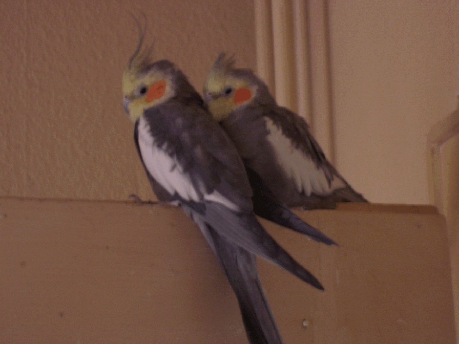 CIMG0127.JPG