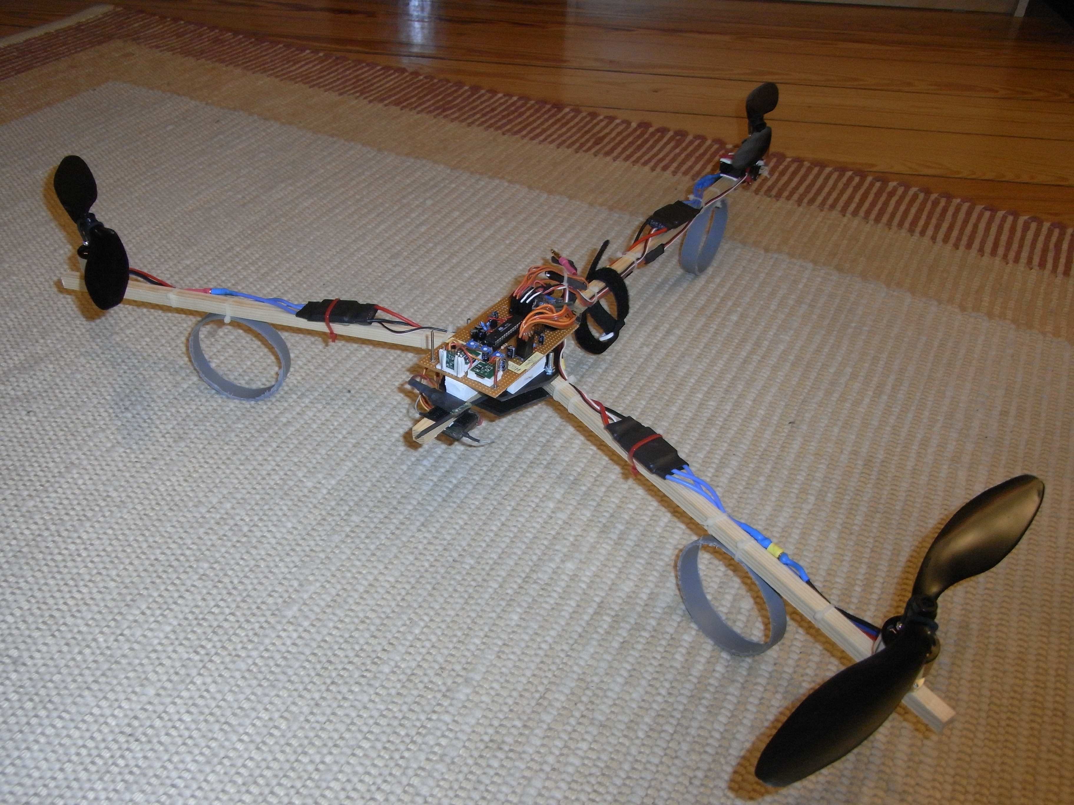 RIMG1173.JPG
