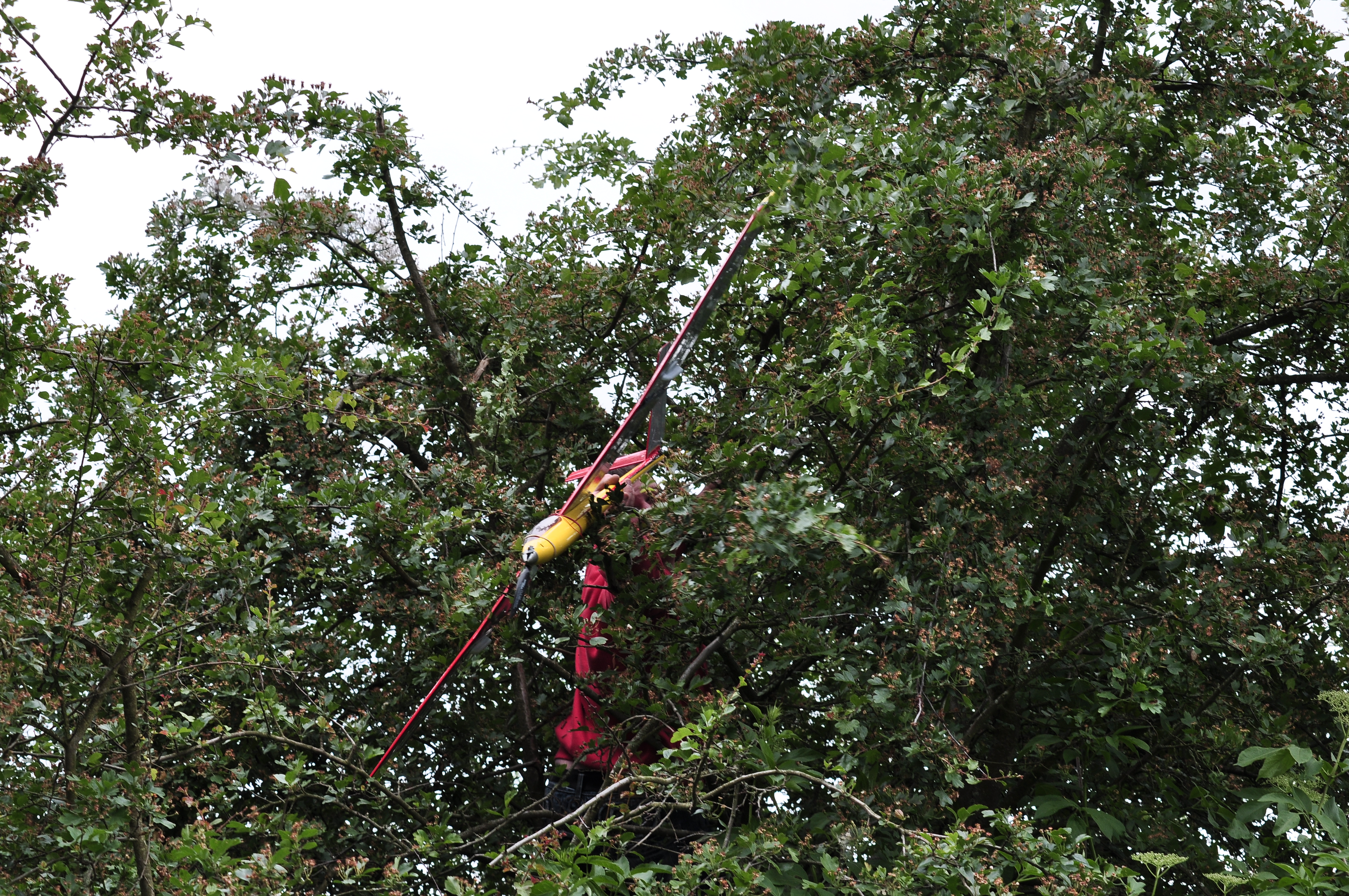 DSC_2050.JPG
