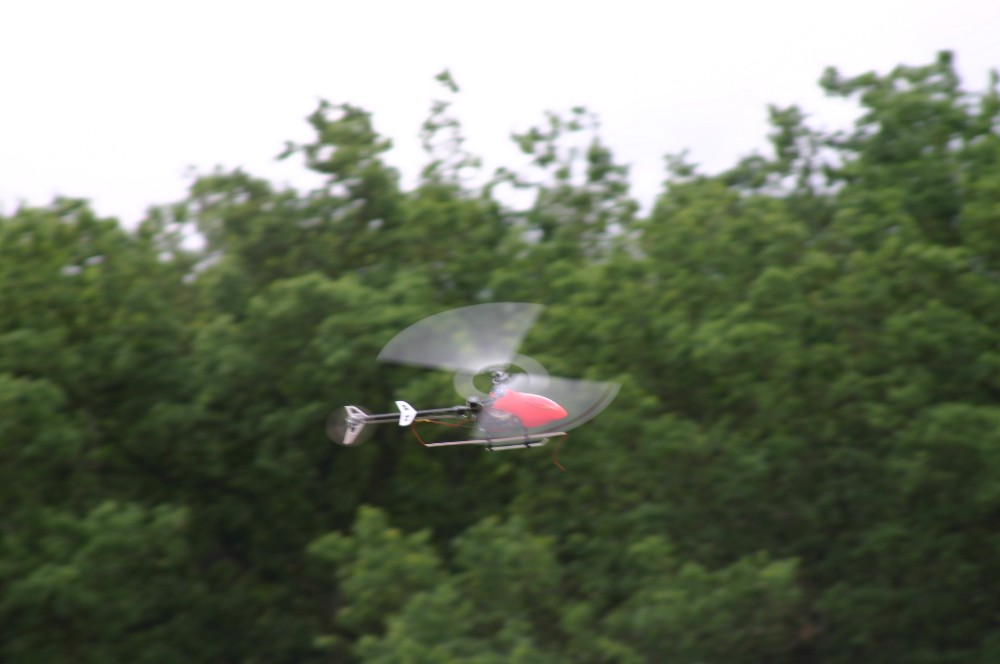 IMG_2995.JPG