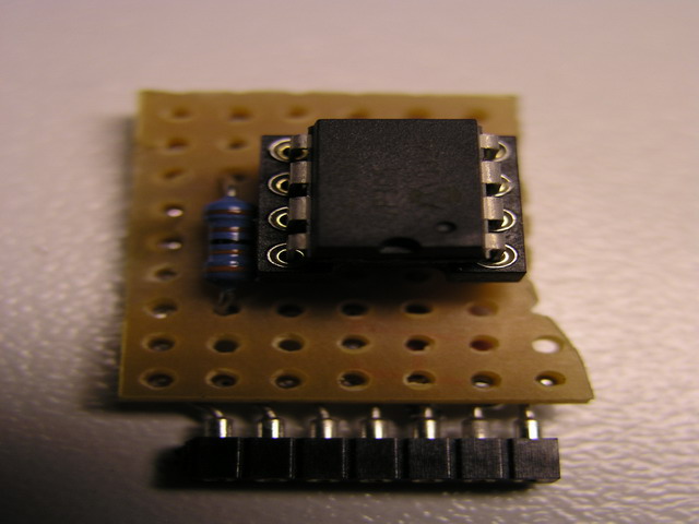 P1010002.JPG