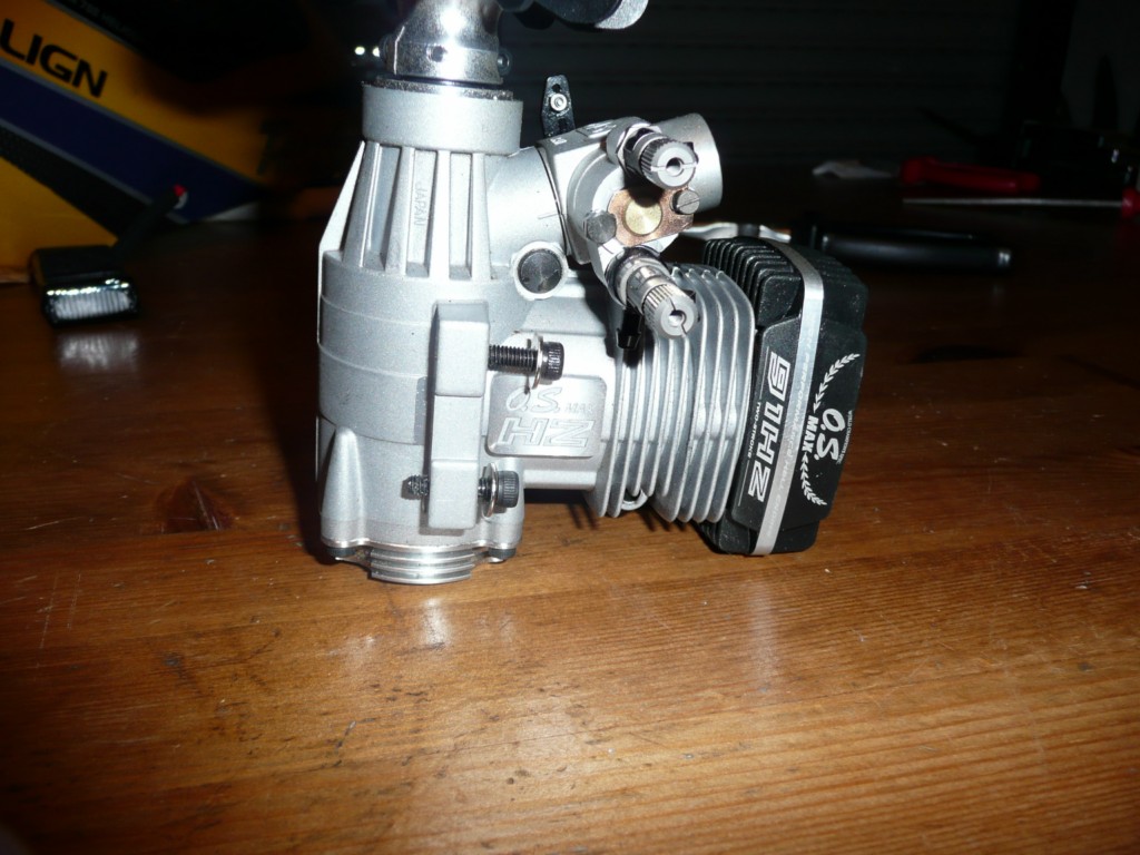 P1000857.JPG