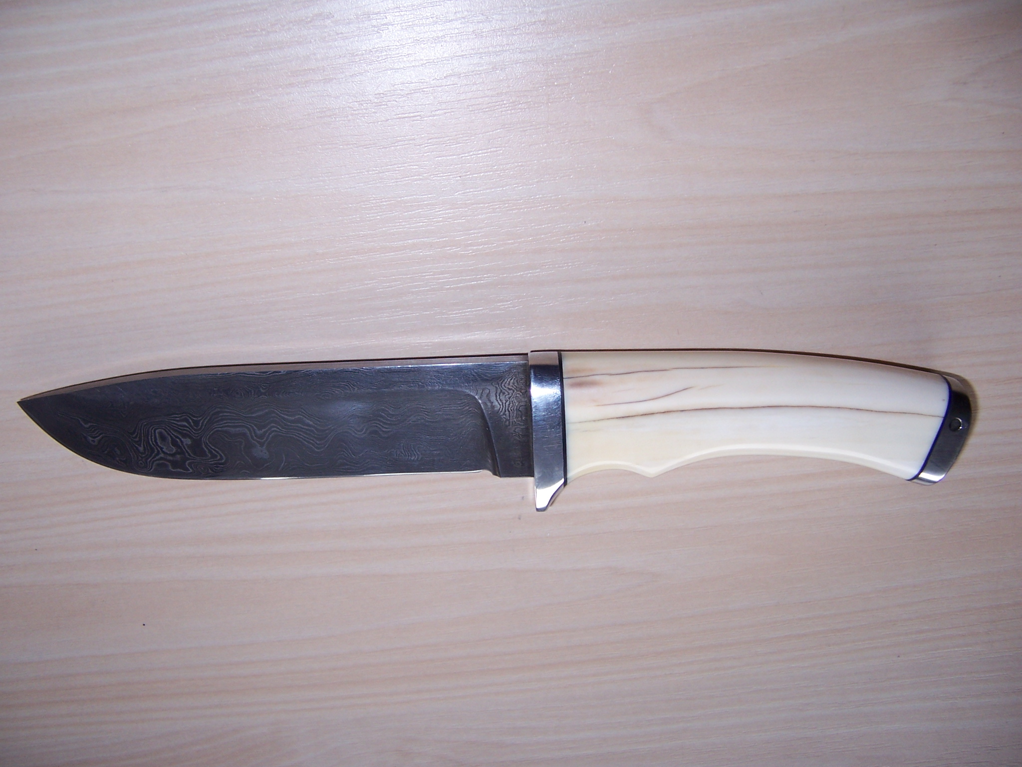 servo und messer 002.jpg