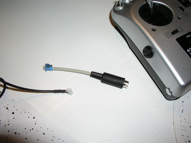 P1010004.JPG