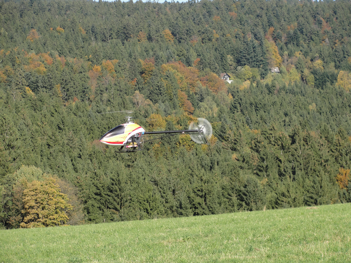 DSC02634.jpg