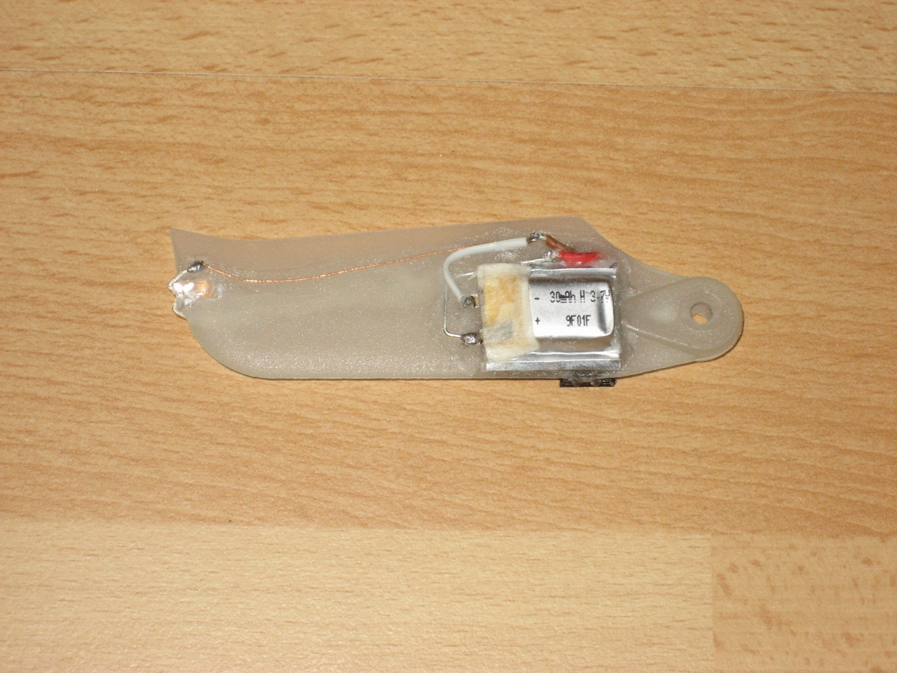Night-Tailblades_01.JPG