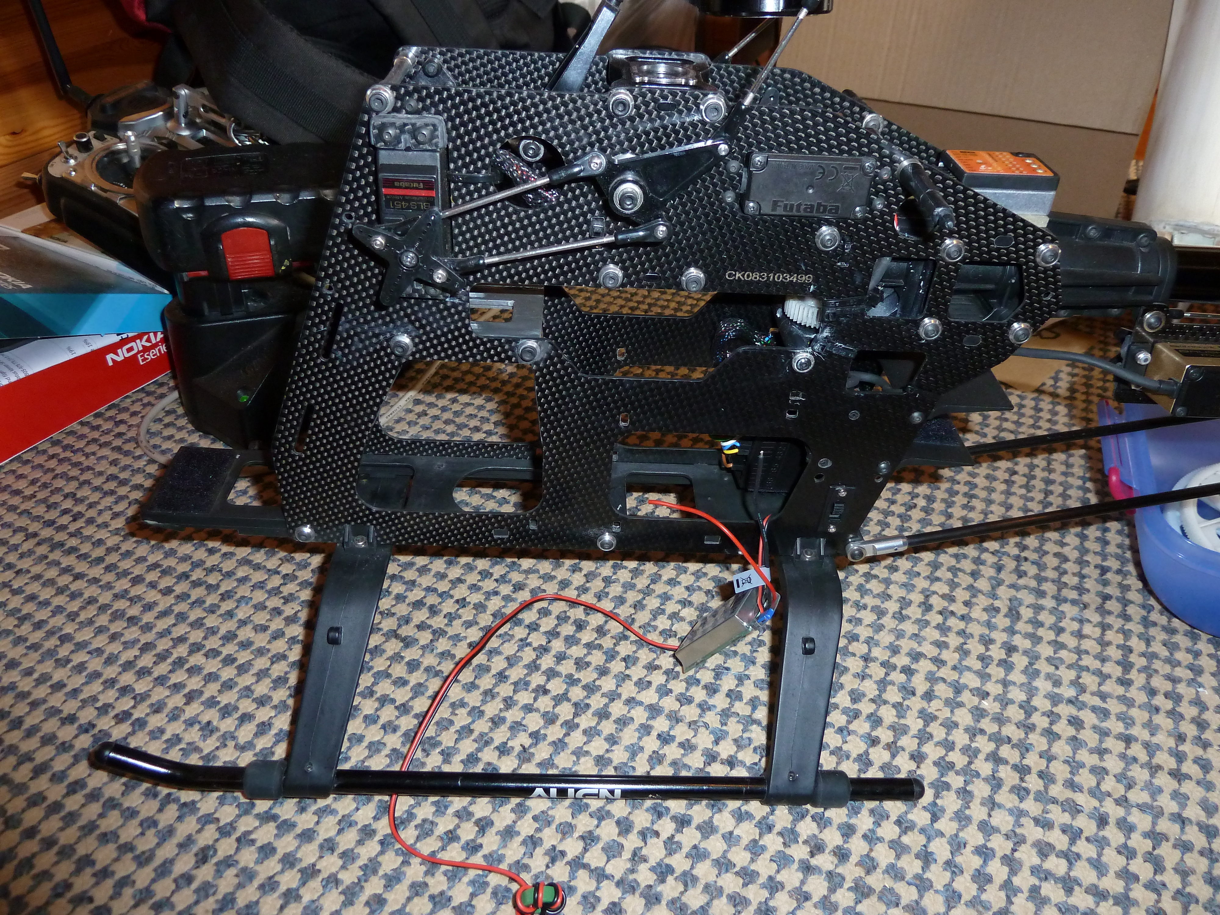 P1000141.JPG