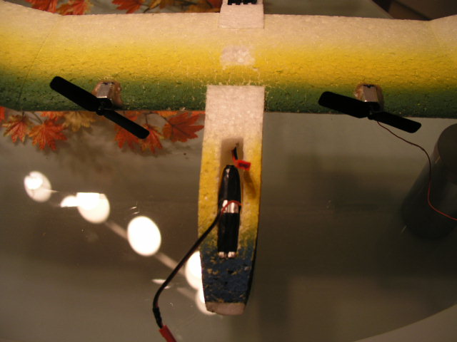 P1010002.JPG
