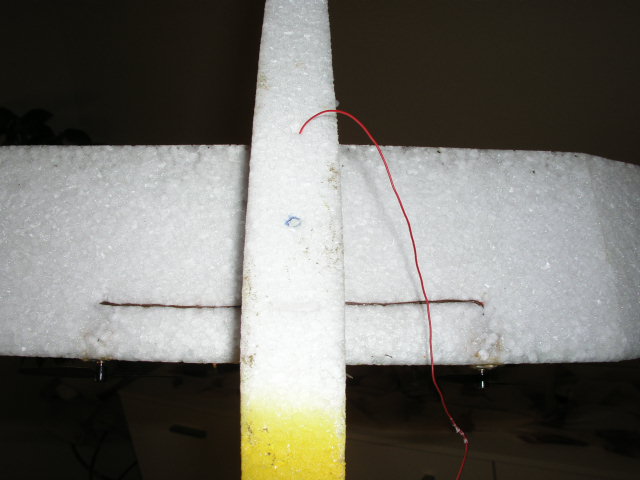 P1010003.JPG