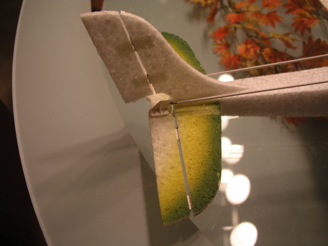 P1010006.JPG