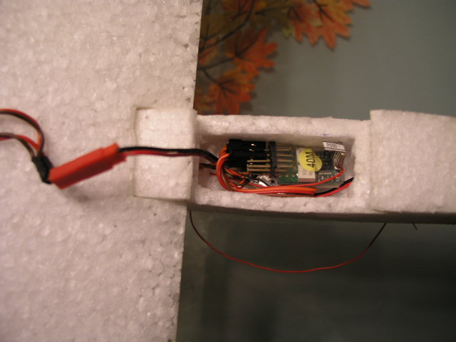 P1010008.JPG