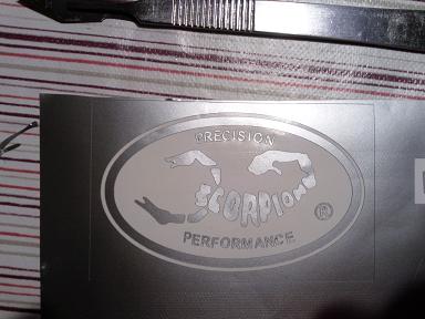 Scorpion1.JPG