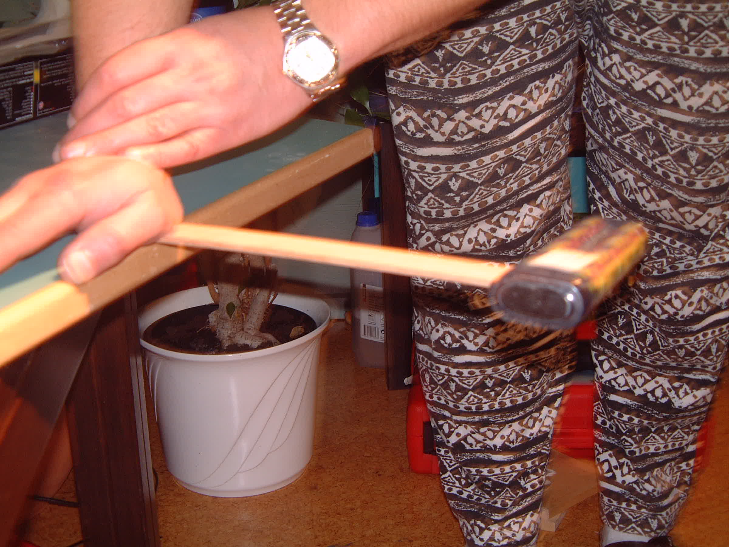 DSCF0024.JPG