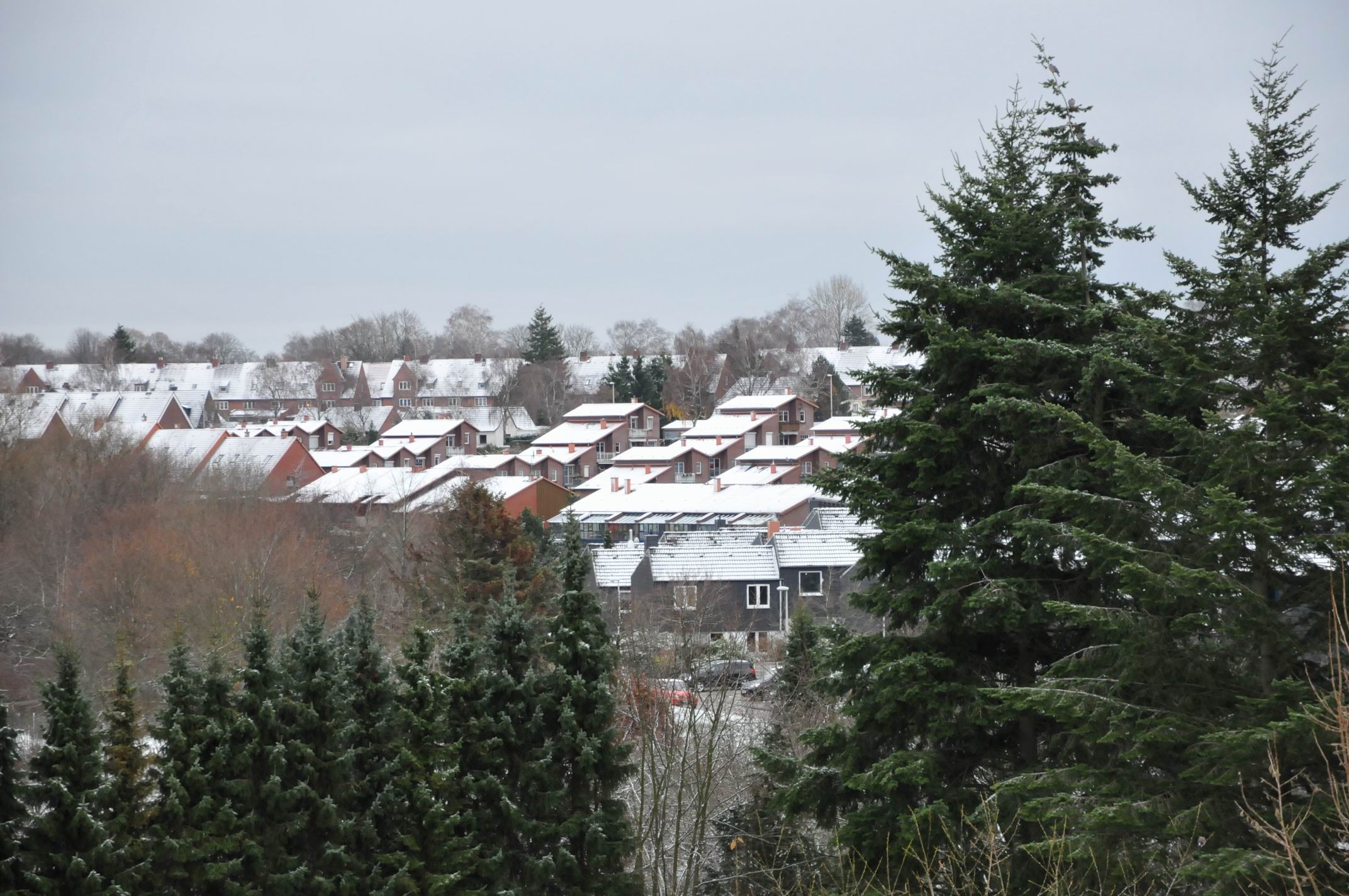 Schnee 3.JPG