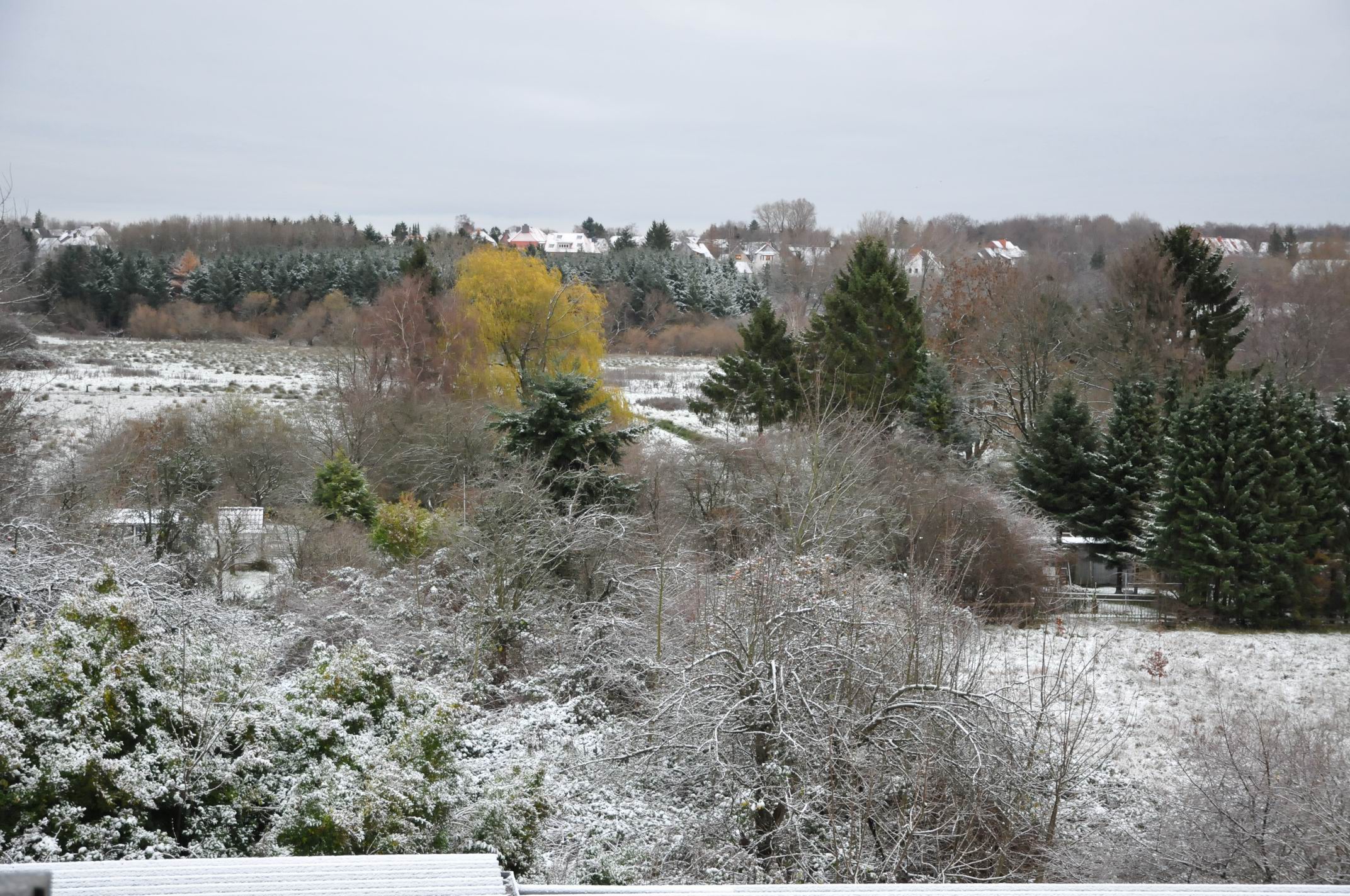 Schnee 2.JPG