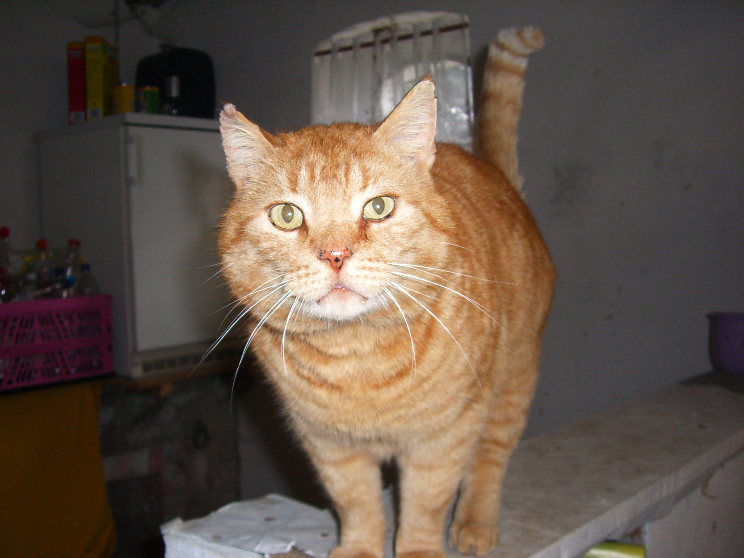 März 2008 090.jpg