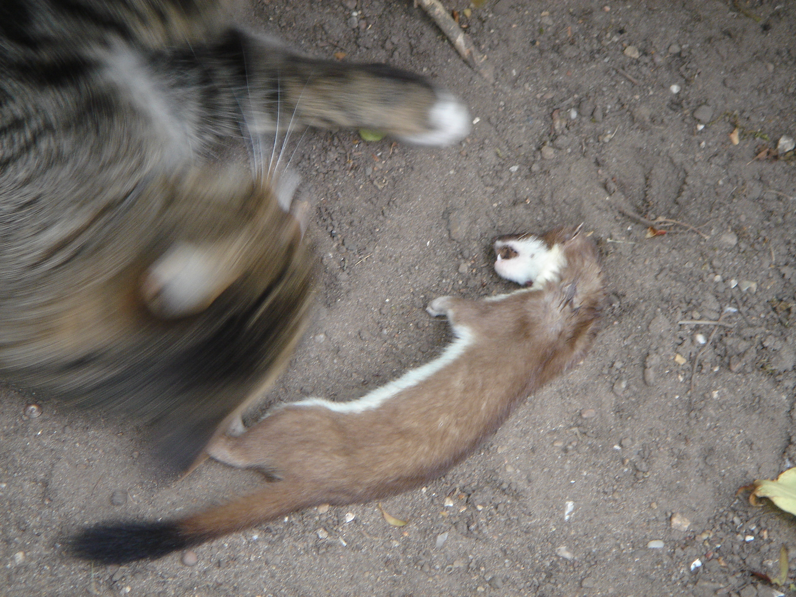 DSC04895.JPG
