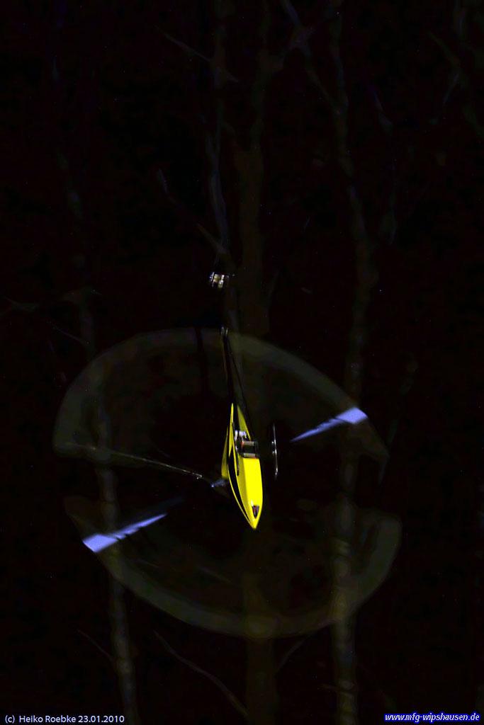 Flutlichtfliegen1.jpg