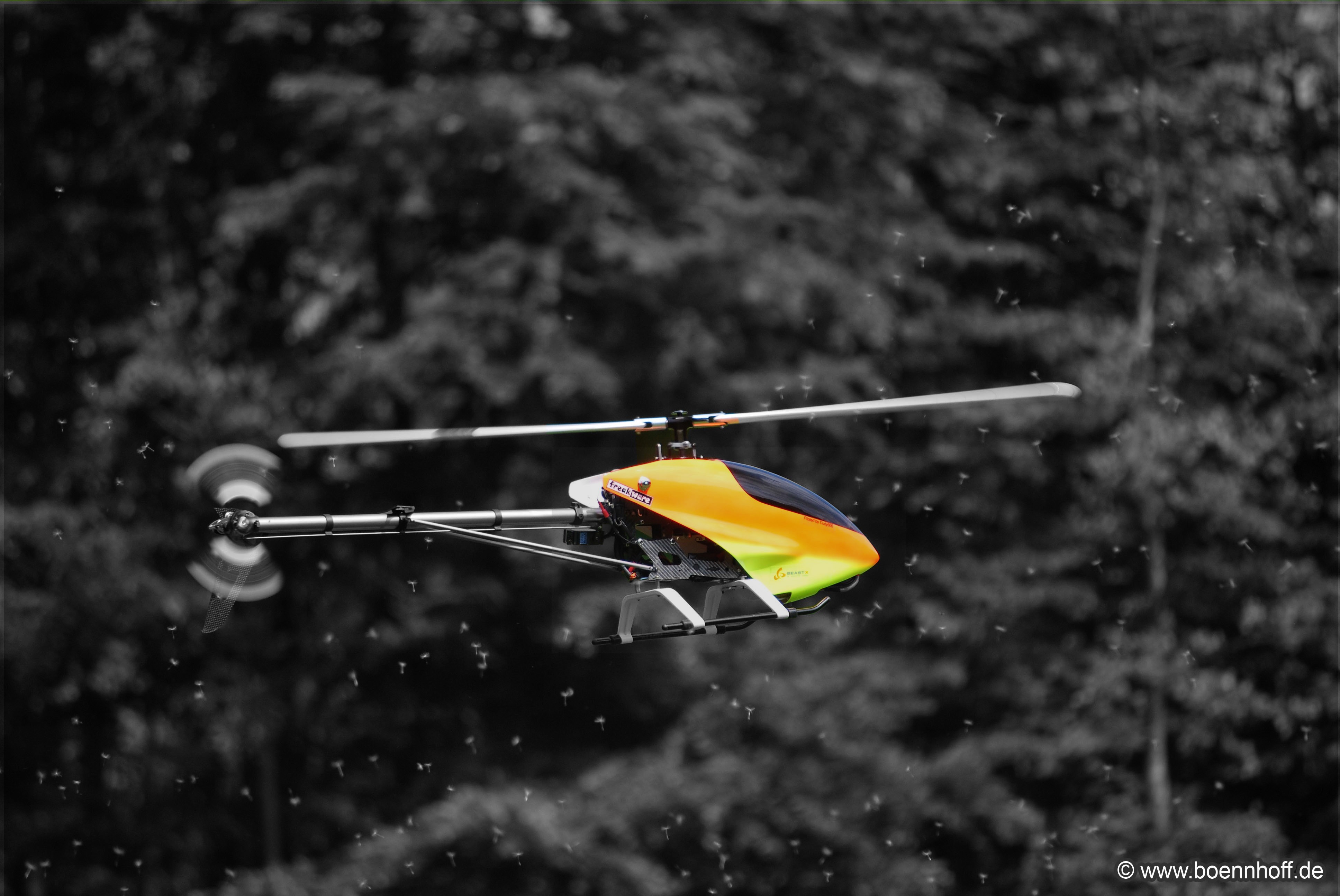 20100523_0005 bearbeitet.jpg