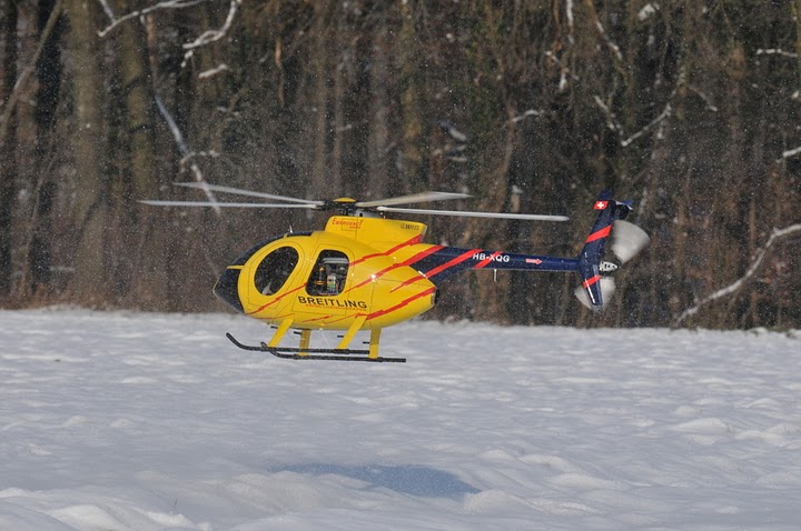 DSC_6863.JPG