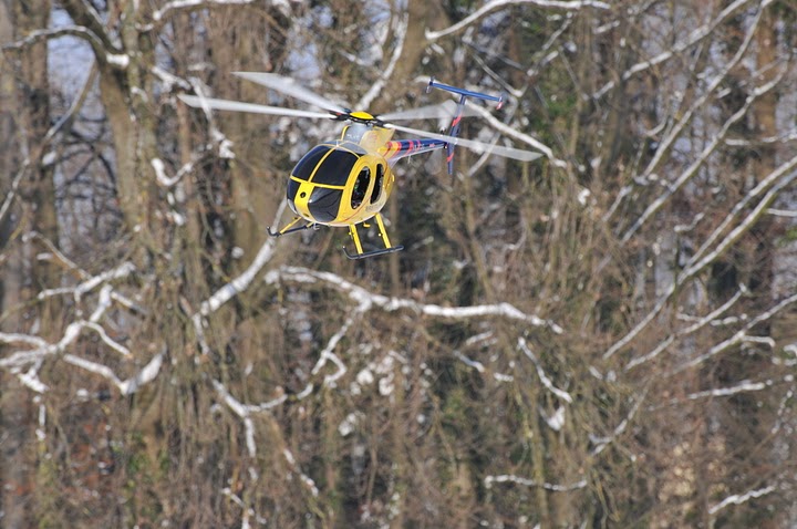 DSC_6872.JPG