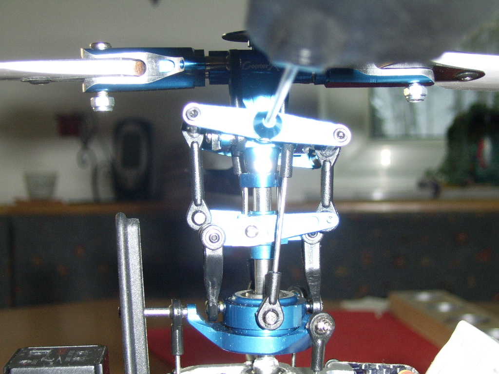 SSA41252.JPG