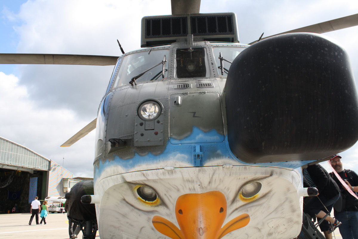 Sea King_Bug_01.JPG