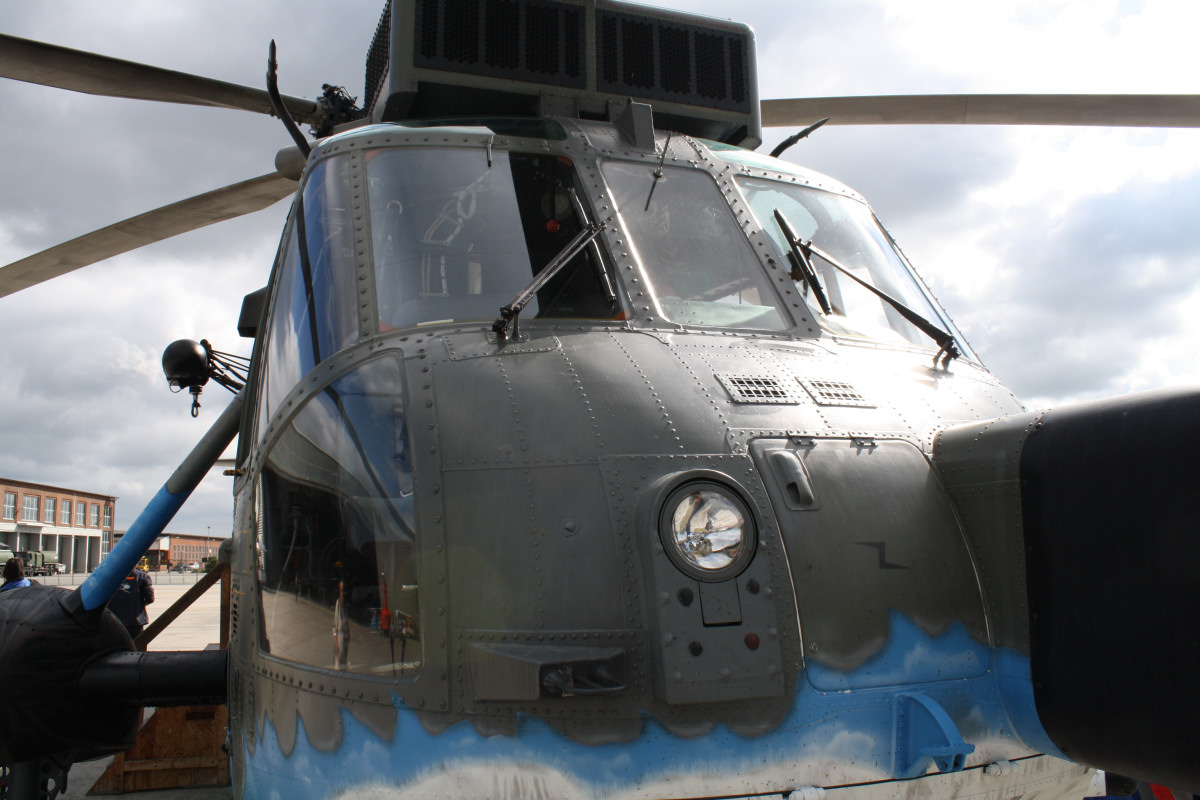Sea King_Bug_02.JPG