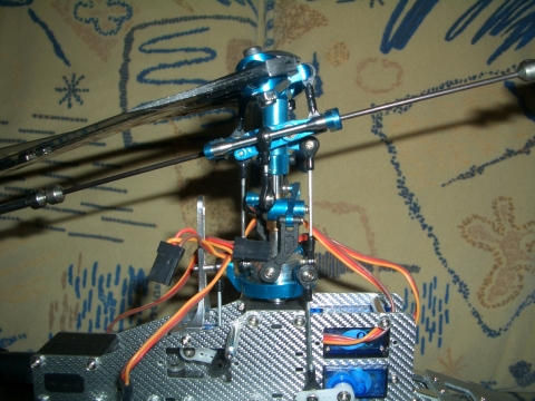 CIMG4135.JPG