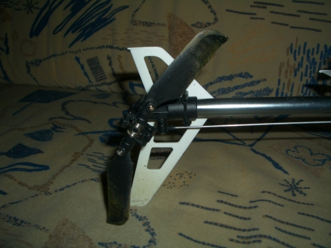 CIMG4138.JPG