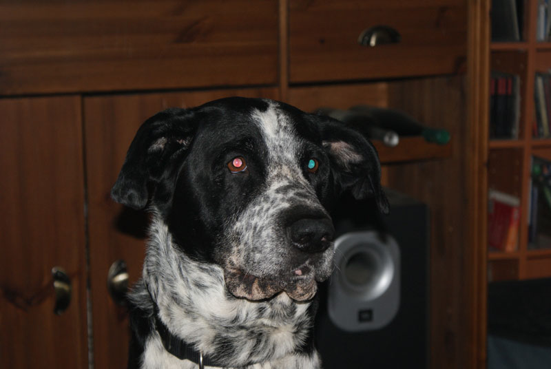 DSC06172_web.jpg