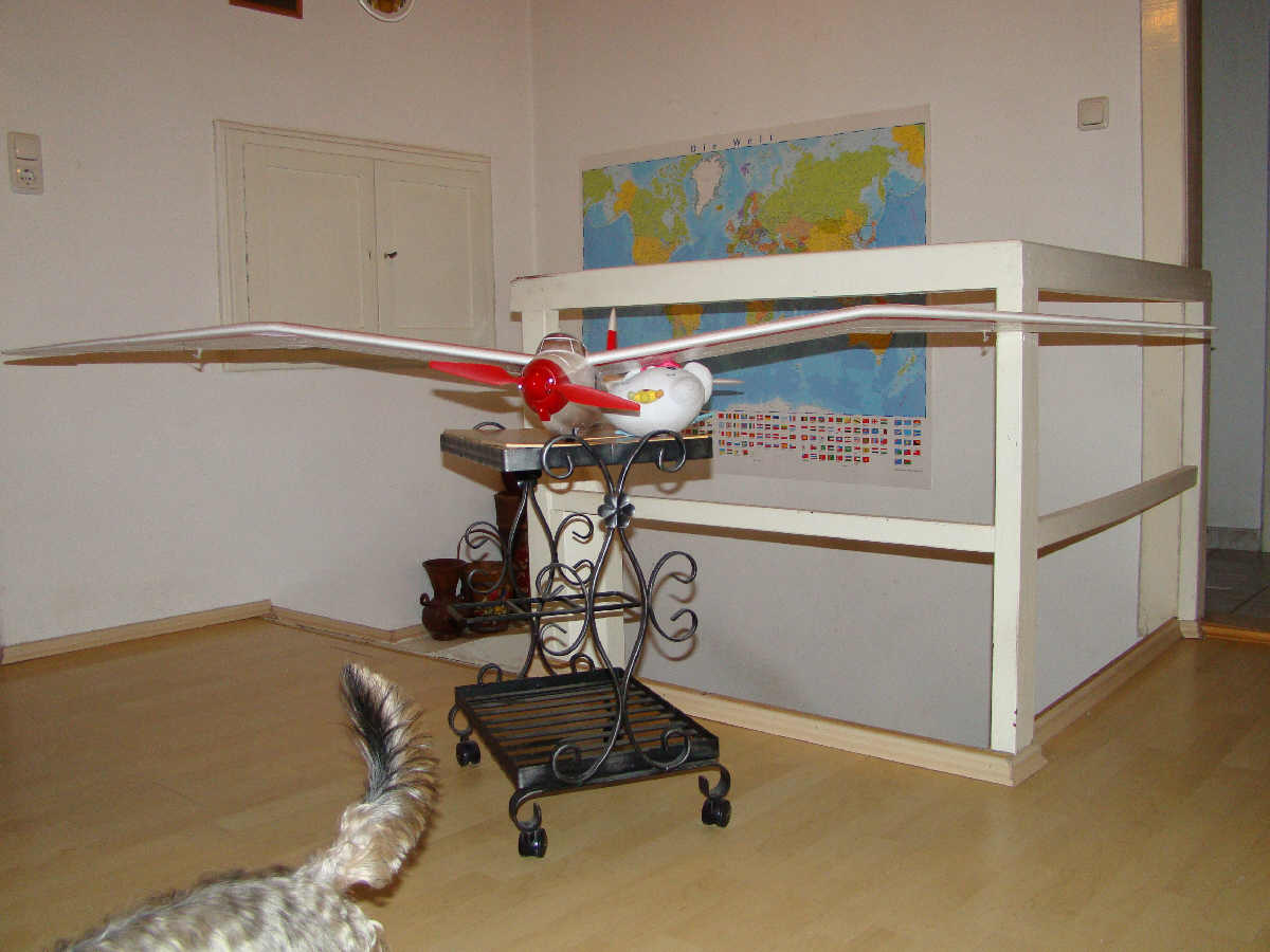 DSC01217.jpg