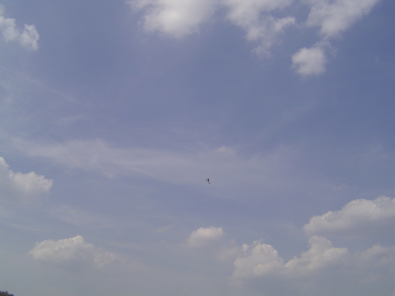 DSC03012.JPG