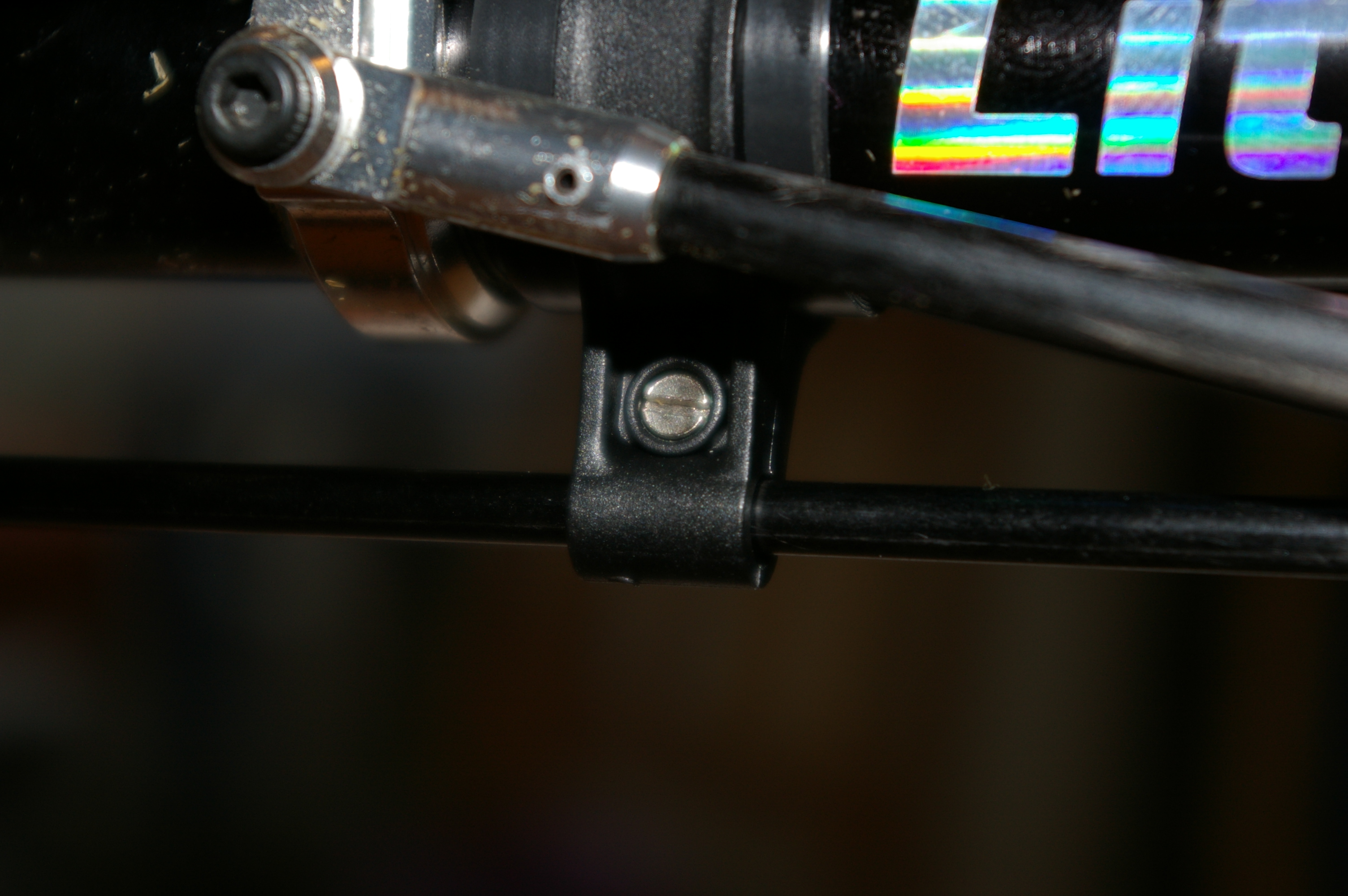 IMGP8895.JPG