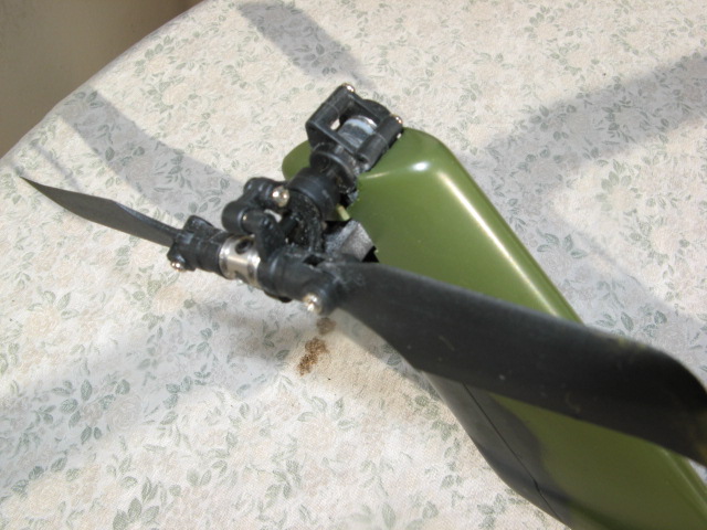 T-Rex 812.jpg