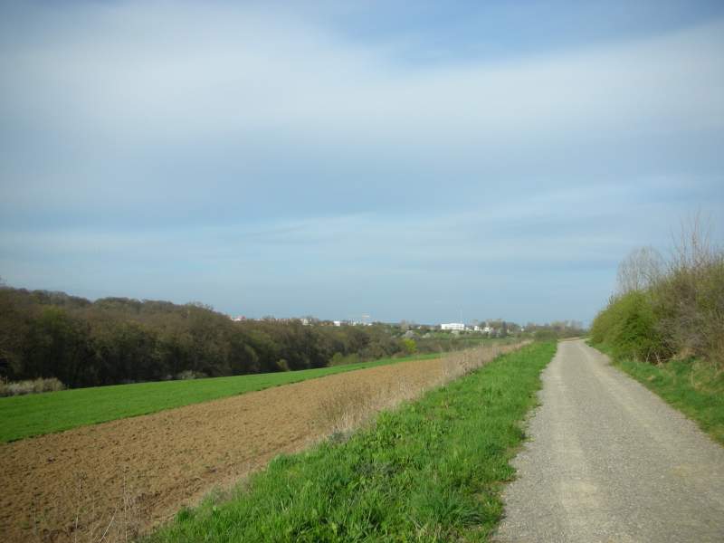 platz1-2.jpg