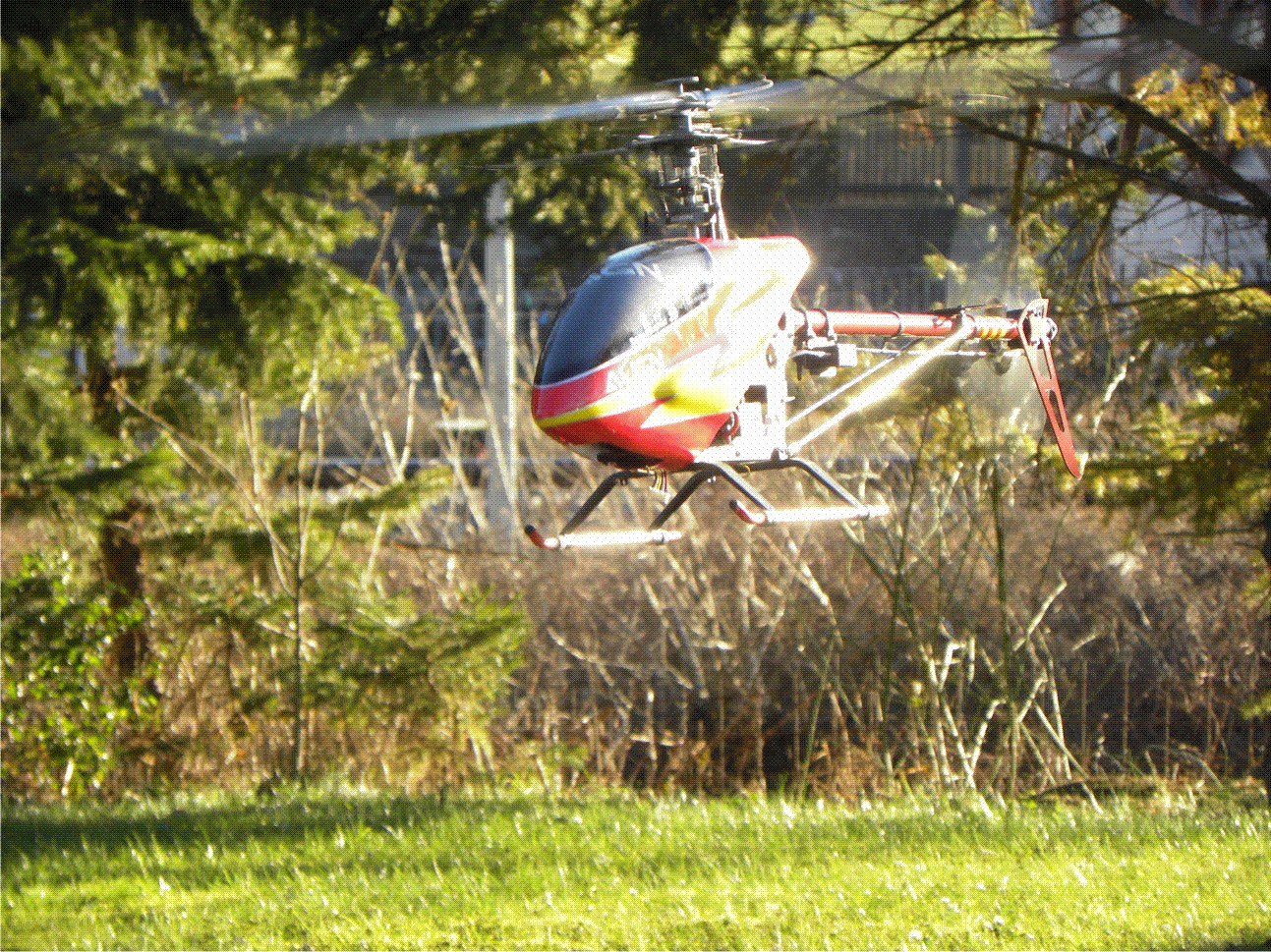 Bild 1 RC Heliforum.jpg