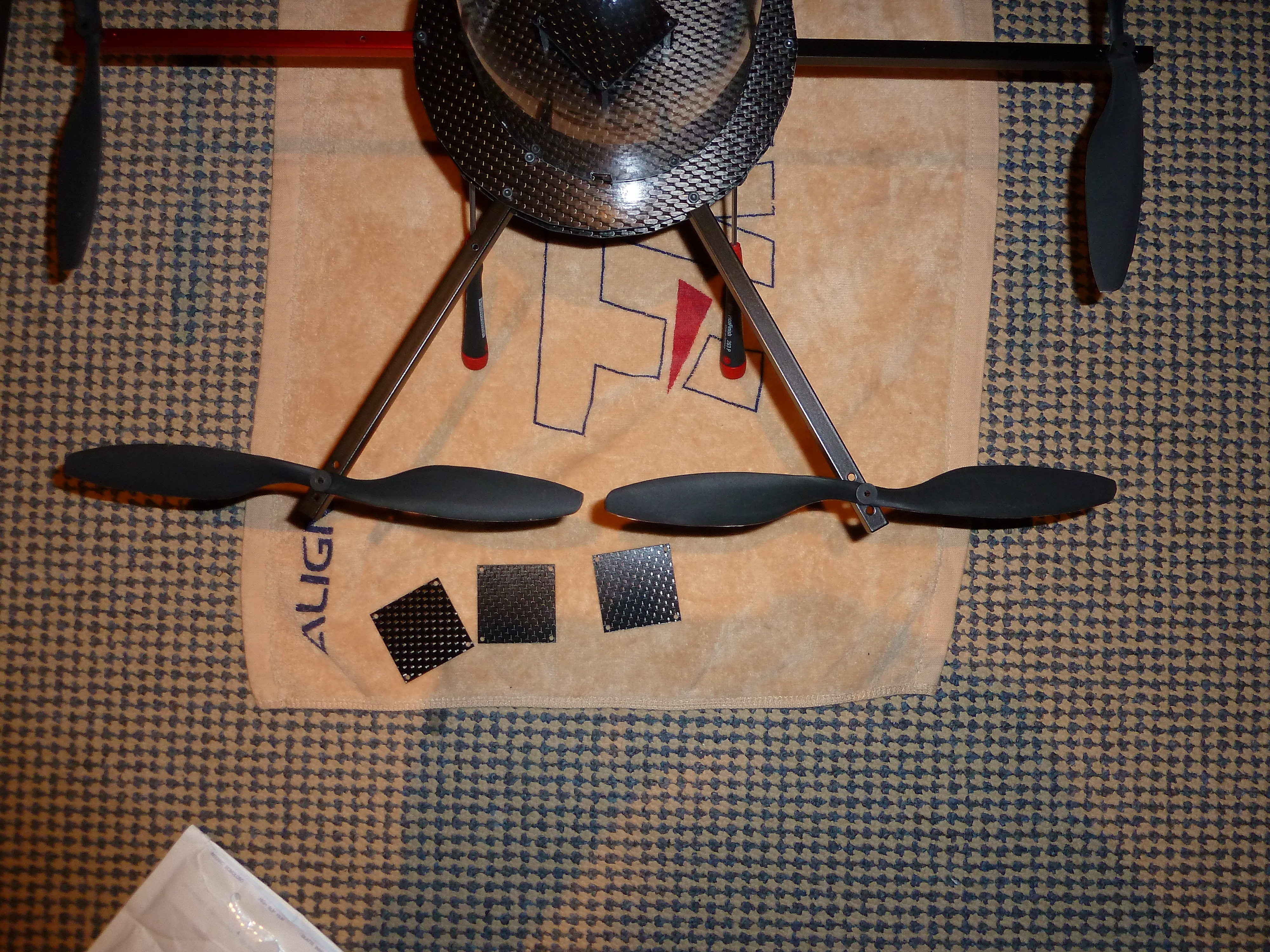 P1000787.JPG