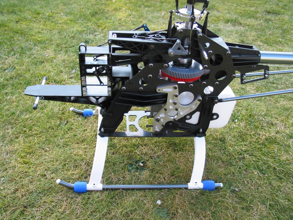 raptor903.jpg