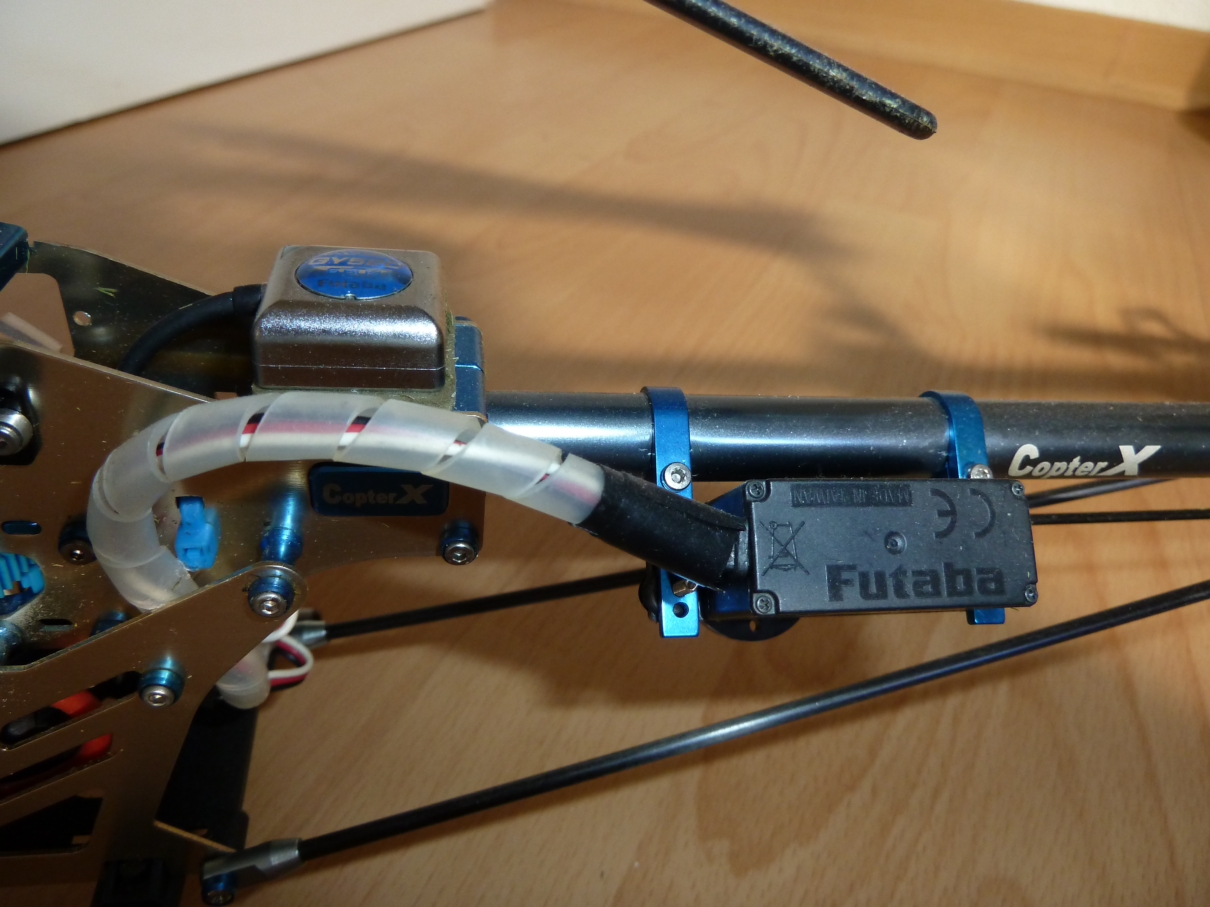 P1010414.JPG