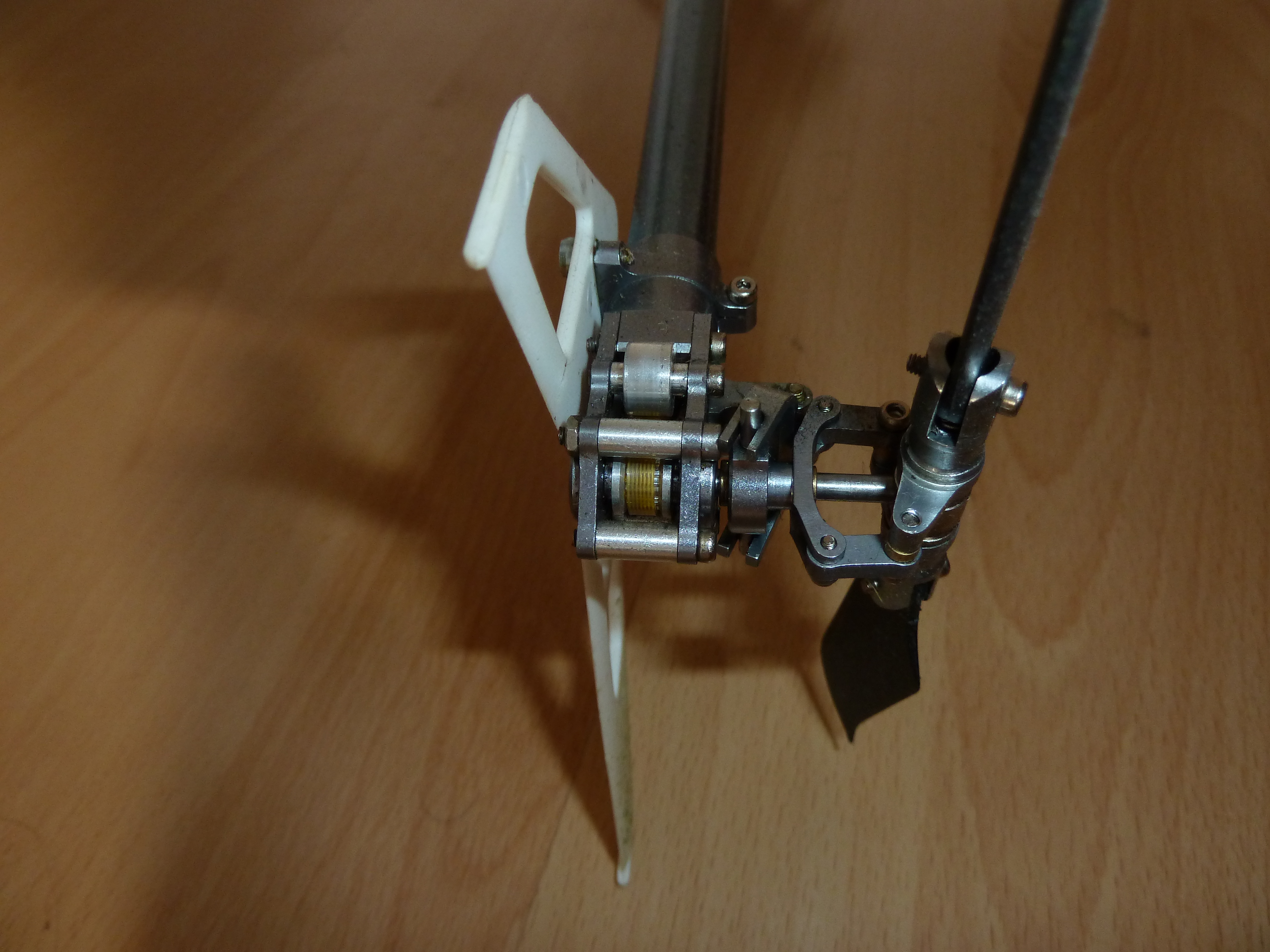 P1010416.JPG