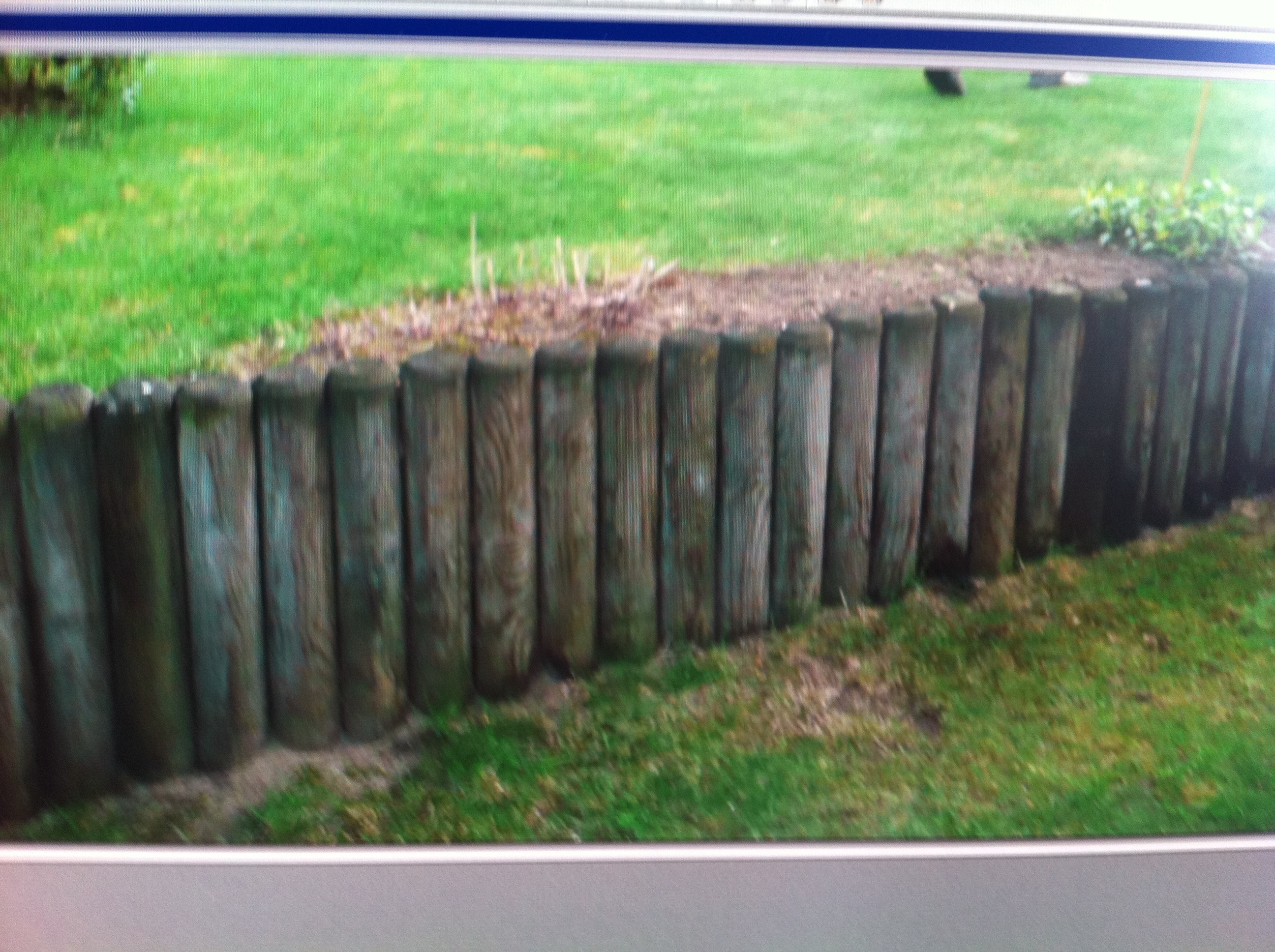 Photo Feb 07, 13 30 27.jpg