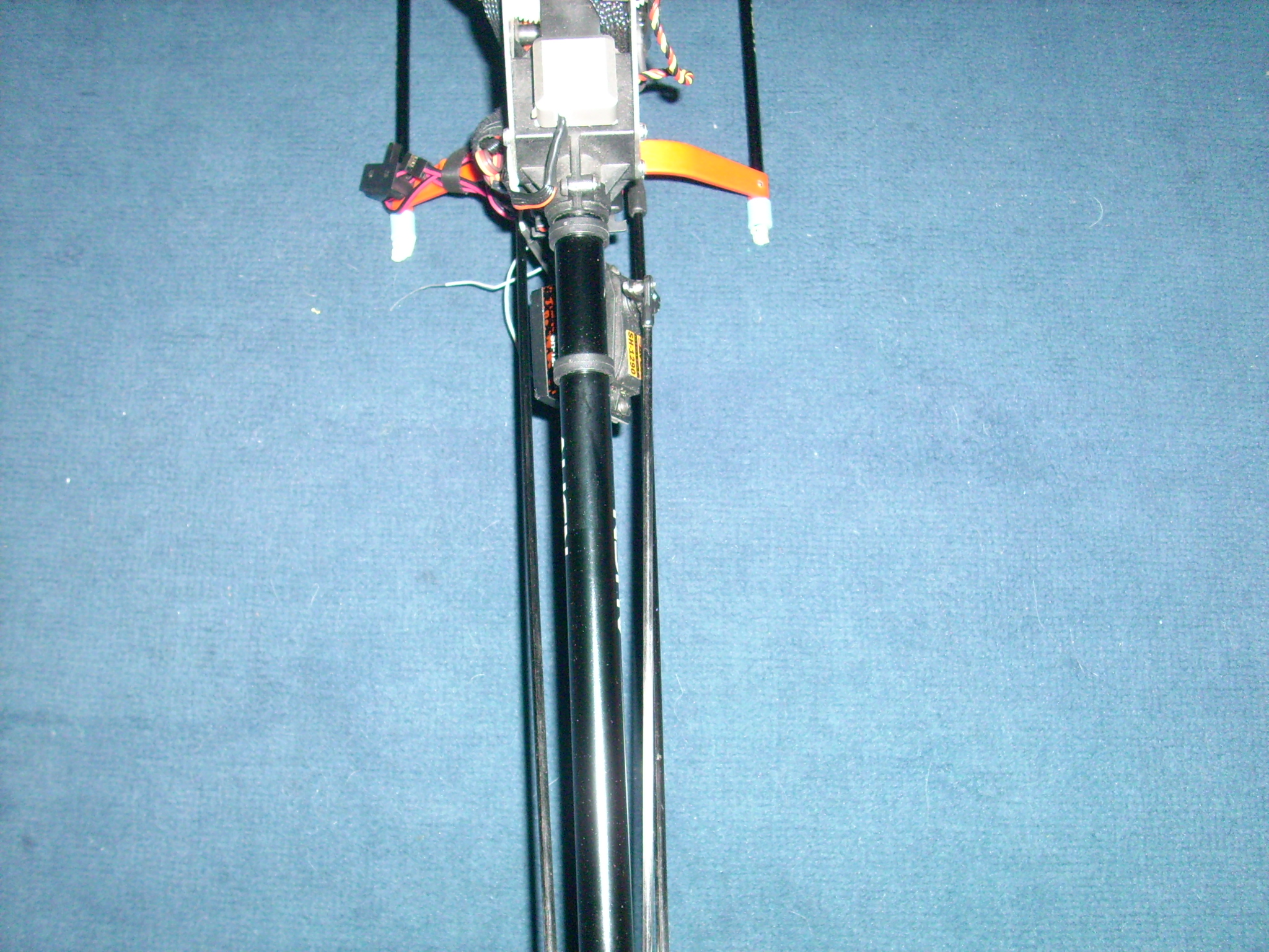 DSCI0098.JPG