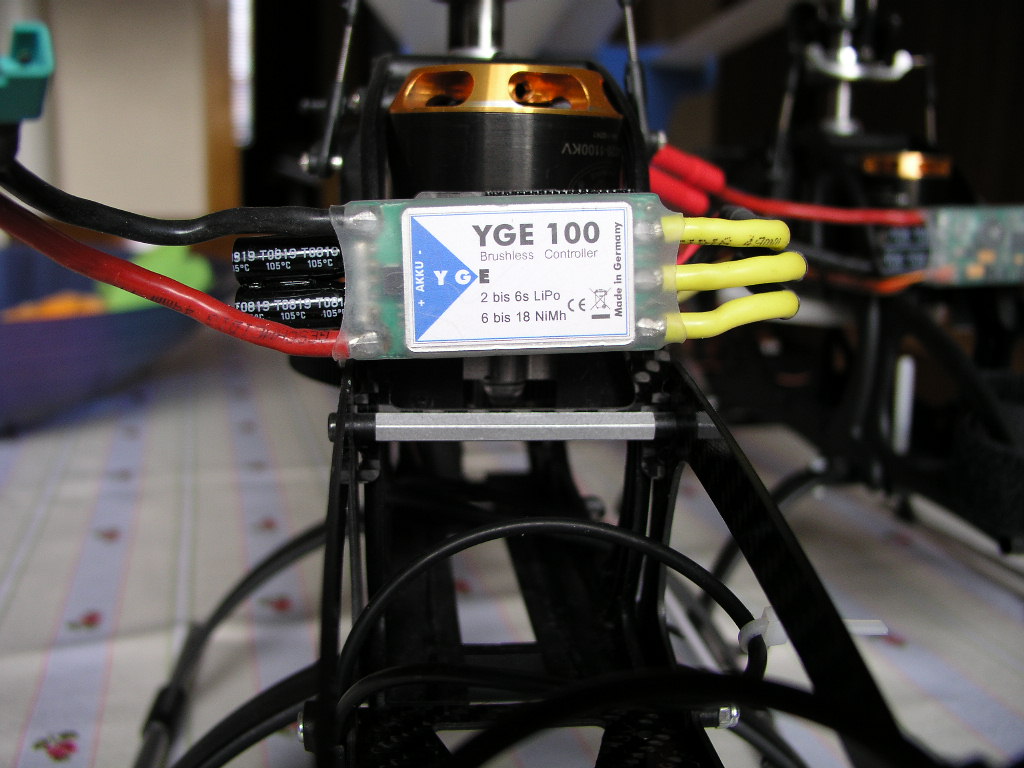 YGE100.JPG