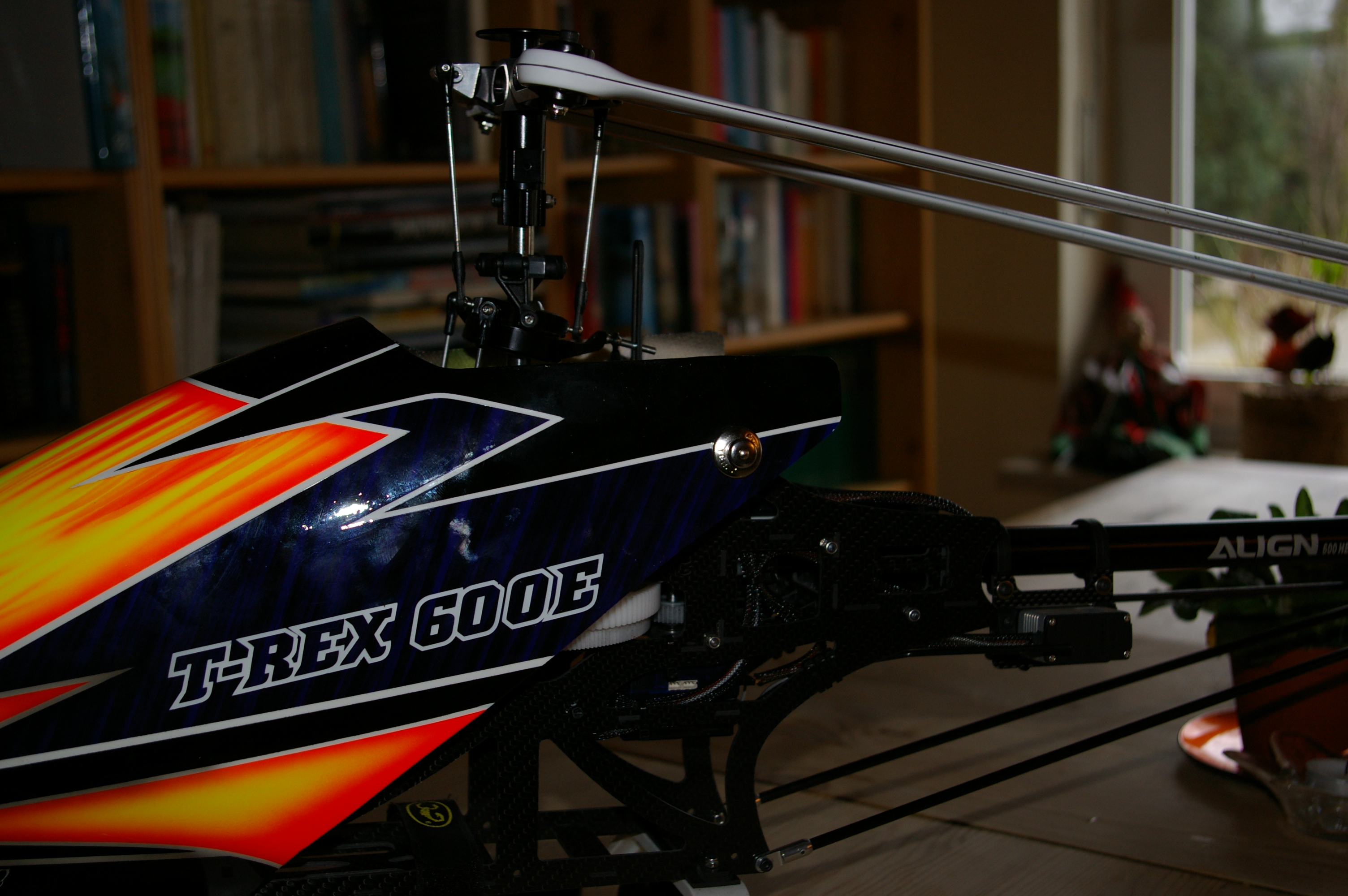 IMGP9108.JPG