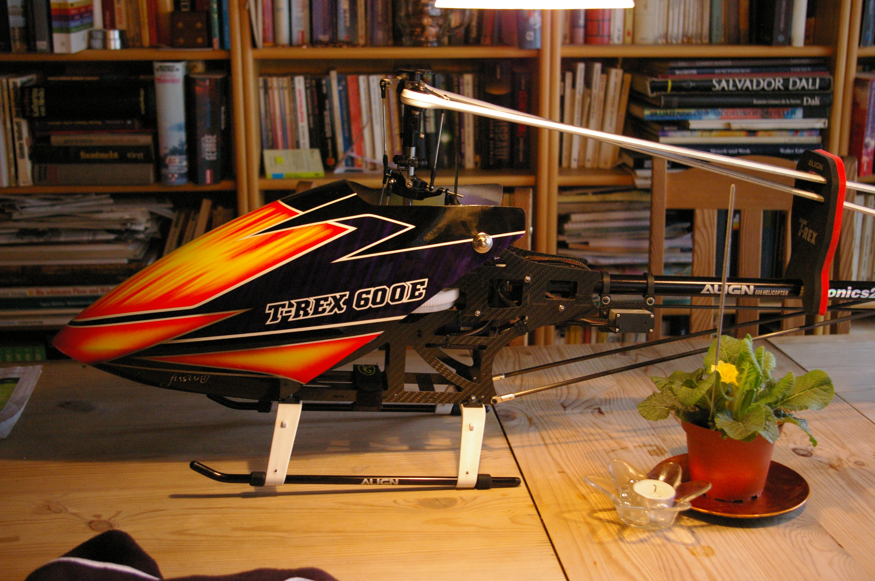 IMGP9114.JPG
