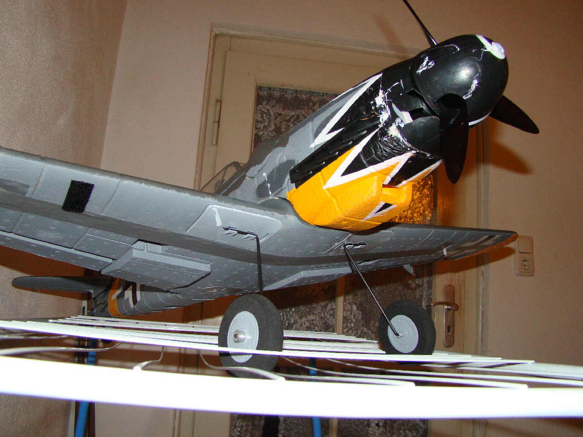 DSC01481.jpg