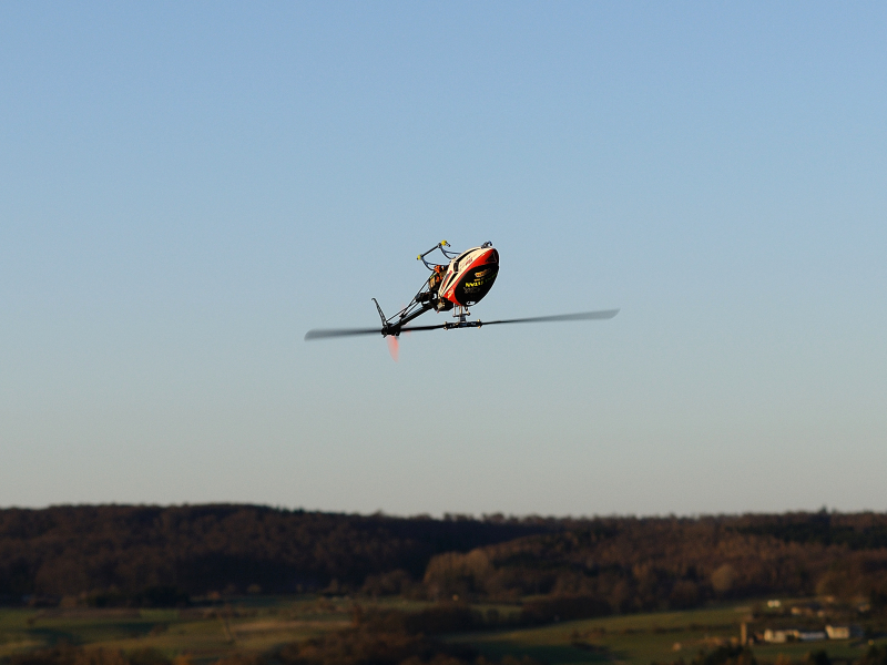 DSC_5693.jpg