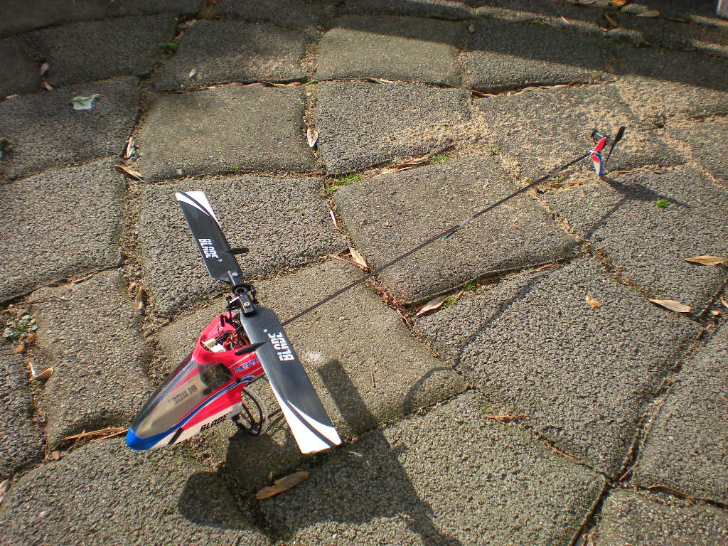 DSCN5427.JPG
