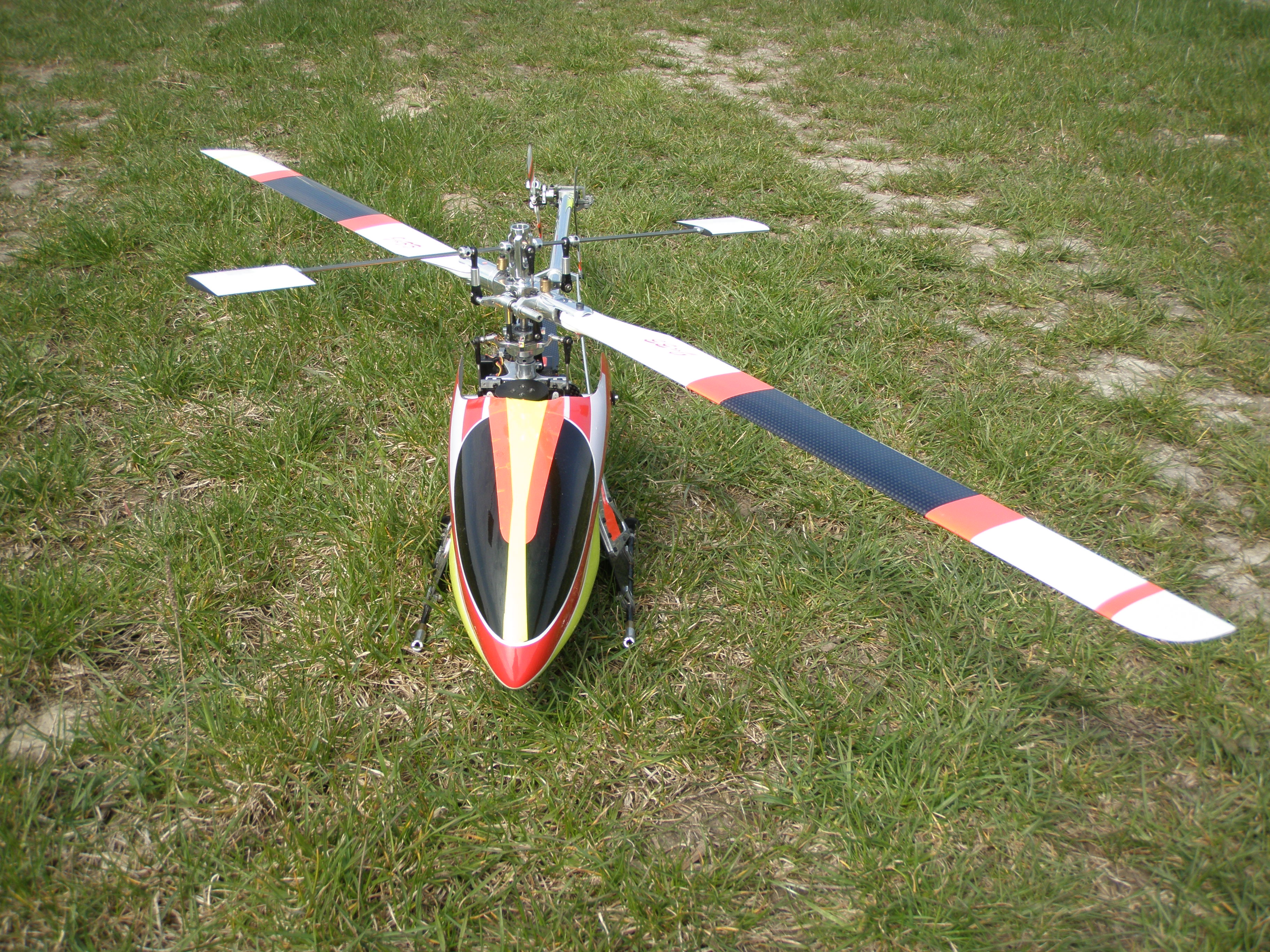 P4172563.JPG